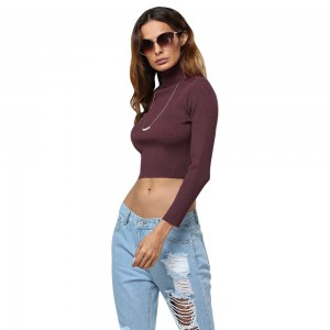 Simple Style Turtleneck Pure Color Women Crop Top - Wine Red L
